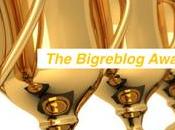 Bigreblog Awards 2015 sont là!!!