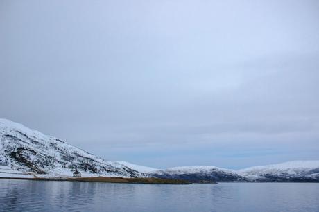 Tromso-167