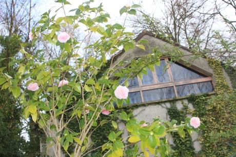 elsie jury veneux 2 janv 2016 008 (5).jpg