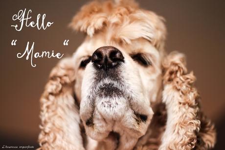 La mémérisation ne passera pas par moi !