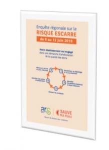 ESCARRE: Prévalence du risque – Résultats de l'enquête régionale ARS Ile-de-France  – e-Pansement