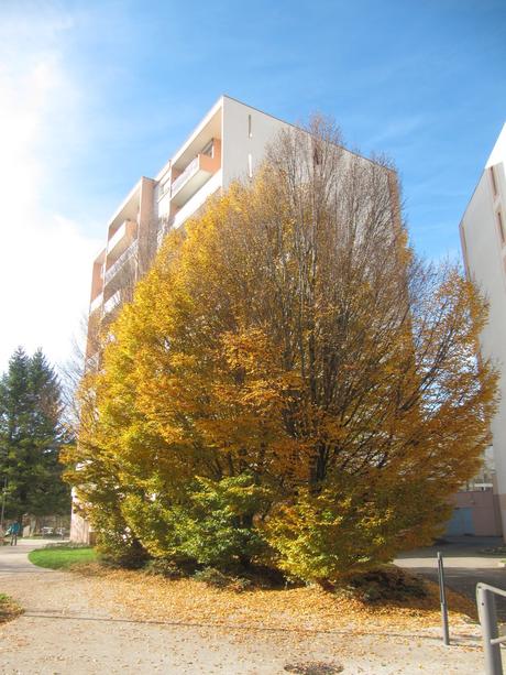 La France - en ballade au bord du Rhône