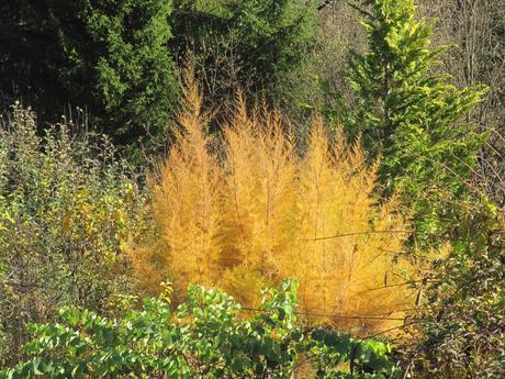 La France - en ballade au bord du Rhône
