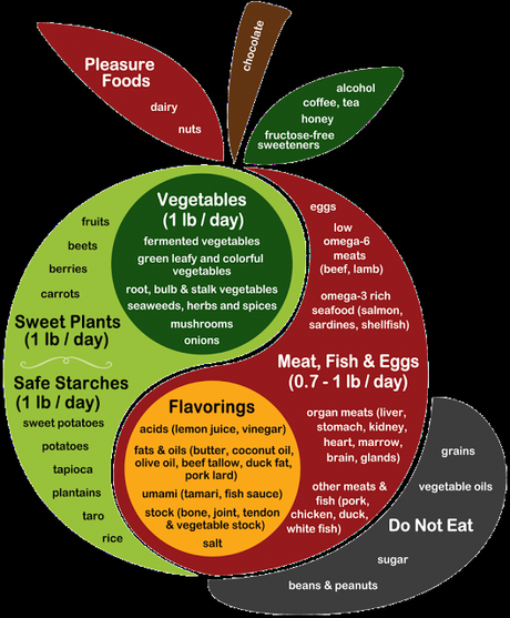 Mon plan santé 2016: Paleo, Keto et retour au gym!