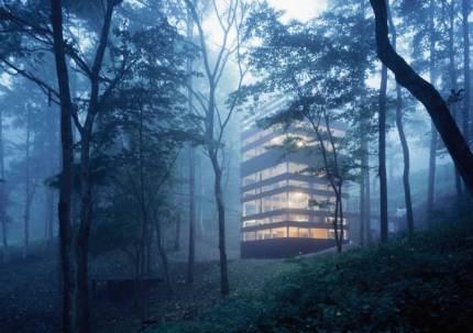 En promenade : The Ring House