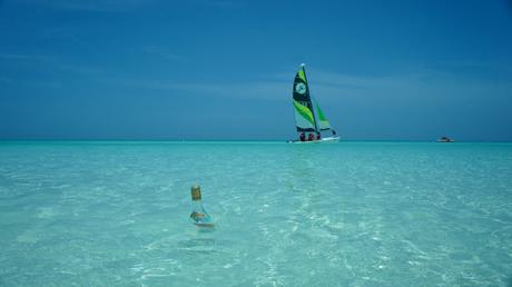 Message in the bottle (1 de 3)