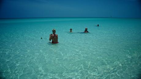 Message in the bottle (1 de 3)