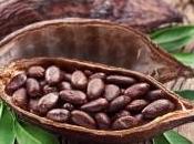 cacao effets santé
