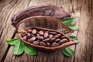 Le cacao et ses effets sur la santé