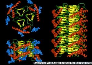 CREUTZFELDT-JAKOB: Ils créent des prions artificiels – PLoS Pathogens