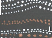 Conférences l'art aborigène Stéphane Jacob Valence, janvier 2016