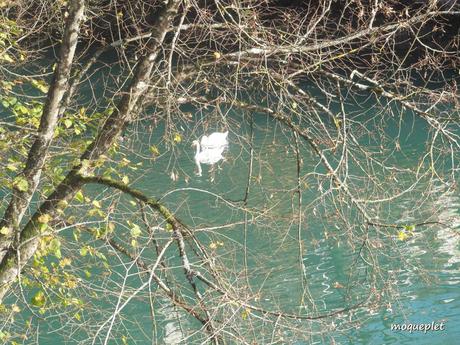 La France - Un jour de balade..Le Rhône