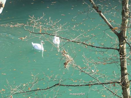 La France - Un jour de balade..Le Rhône