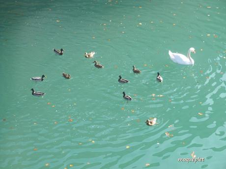La France - Un jour de balade..Le Rhône