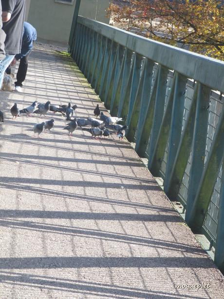La France - Un jour de balade..Le Rhône