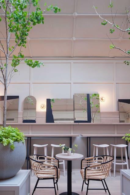 Melbourne / Un bar à vin très vert : The Ugly Duckling /