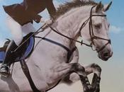 [Direct-to-Vidéo] Champion, équipe gagnante histoire mièvre pour propagande nauséeuse