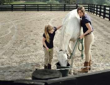 [Direct-to-Vidéo] Champion, une équipe gagnante : histoire mièvre pour propagande nauséeuse