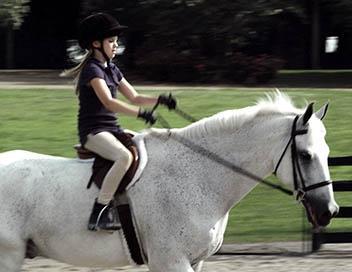 [Direct-to-Vidéo] Champion, une équipe gagnante : histoire mièvre pour propagande nauséeuse