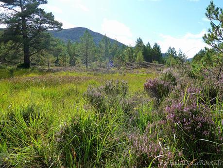 Parc National des Cairngorms