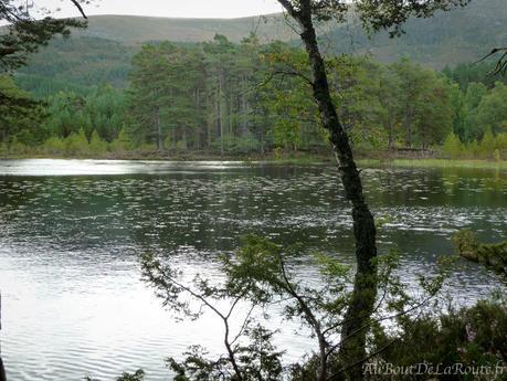 Parc National des Cairngorms