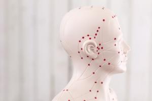 FIBROMYALGIE: L'acupuncture fait ses preuves contre la douleur – Journal of NeuroImage