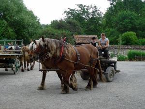 L’écomusée d’Alsace : au pays des cigognes.