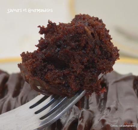 Gâteau Cacao et Banane. Chocolate Banana Cake.
