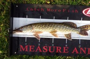 pęche du carnassier au Domaine du grand étang