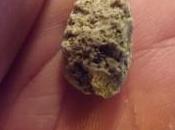 C’est l’hiver, j’ai scrupules vert