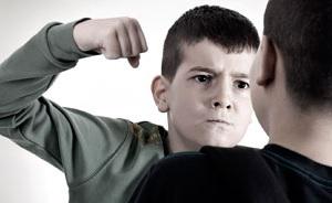 VIOLENCE de l'adolescent: La prévention doit commencer à la maison  – Journal of Child and Family Studies