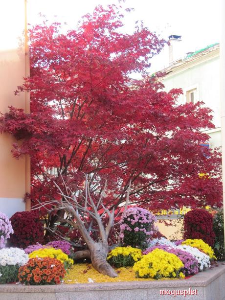 La France - Un jour de balade . La Mairie et L'Eglise