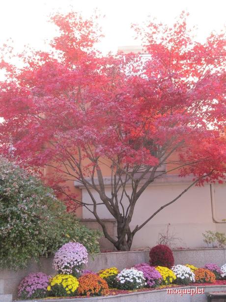 La France - Un jour de balade . La Mairie et L'Eglise
