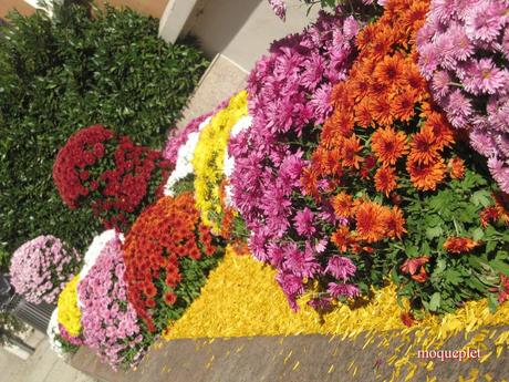 La France - Un jour de balade . La Mairie et L'Eglise