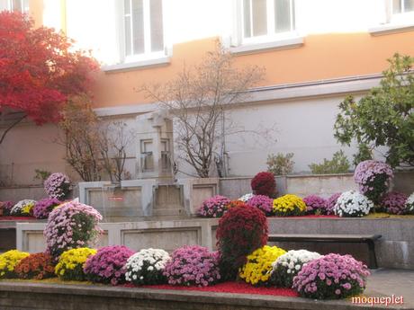 La France - Un jour de balade . La Mairie et L'Eglise