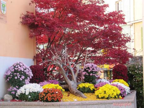 La France - Un jour de balade . La Mairie et L'Eglise