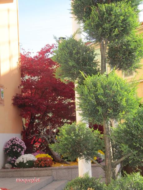 La France - Un jour de balade . La Mairie et L'Eglise