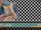 Insolite présente sous forme d’un vidéo school