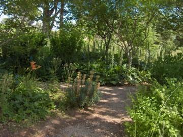 Jean Henri Fabre - Aline Delage Jean Henri Fabre - Aline Delage