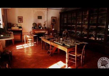 Jean Henri Fabre - Aline Delage Jean Henri Fabre - Aline Delage