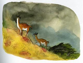 LA PARENTHESE PATAGONE