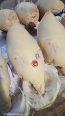 Bresse-149 Bresse-149