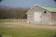 Bresse-133 Bresse-133