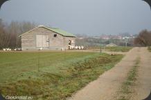 Bresse-128 Bresse-128