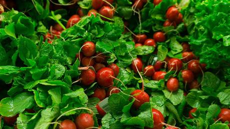 Ten on ten  Janvier 2016