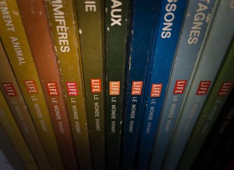 Ten on ten  Janvier 2016