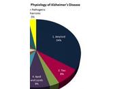 ALZHEIMER: Bloquer l'inflammation peut réduire symptômes Brain