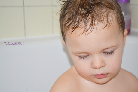 23 décembre 2015 (12)