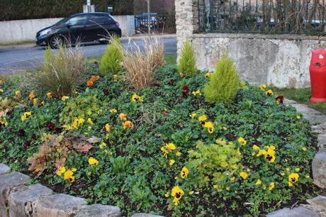 9 pensées pringy 11 janv 2016 015.jpg