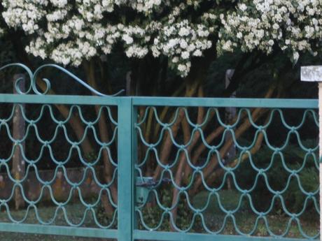 2 vib tinus rec pringy 11 janv 2016 007.jpg